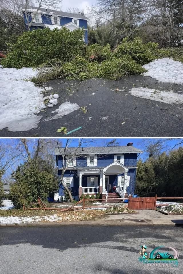 Storm Cleanup and Tree Safety Before Hurricane Season