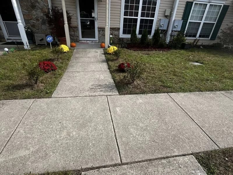 Summer Flower Beds: Keeping Color Through Shore Heat