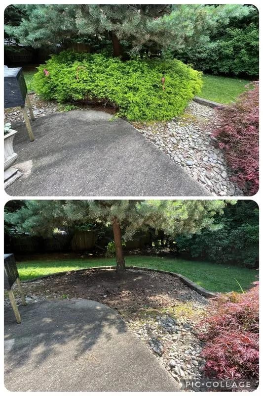 Mulch Installation: How Much and When for South Jersey Beds
