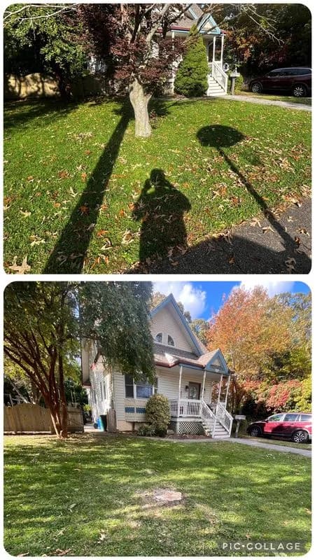Fall Cleanup & Leaf Removal: When to Book in Atlantic County