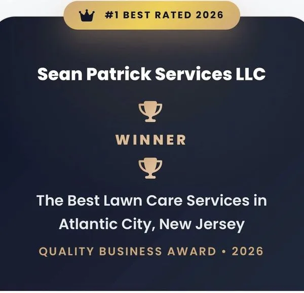 #1 Best Rated 2026 - Quality Business Award
