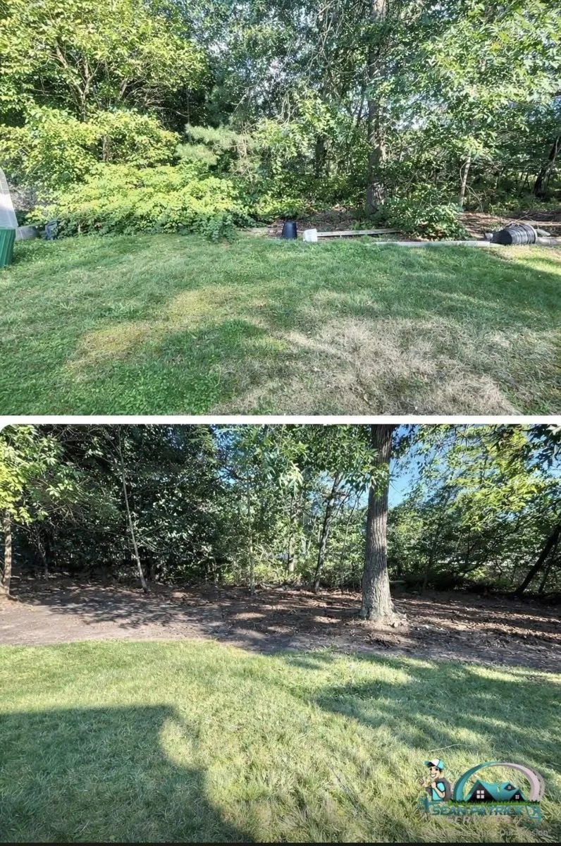 Backyard brush clearing before and after in Galloway NJ