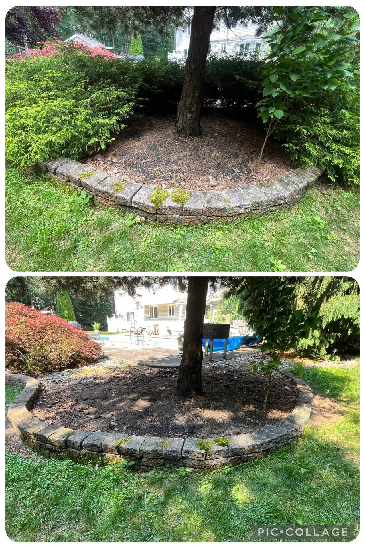Mulch bed cleanup before and after in Northfield NJ