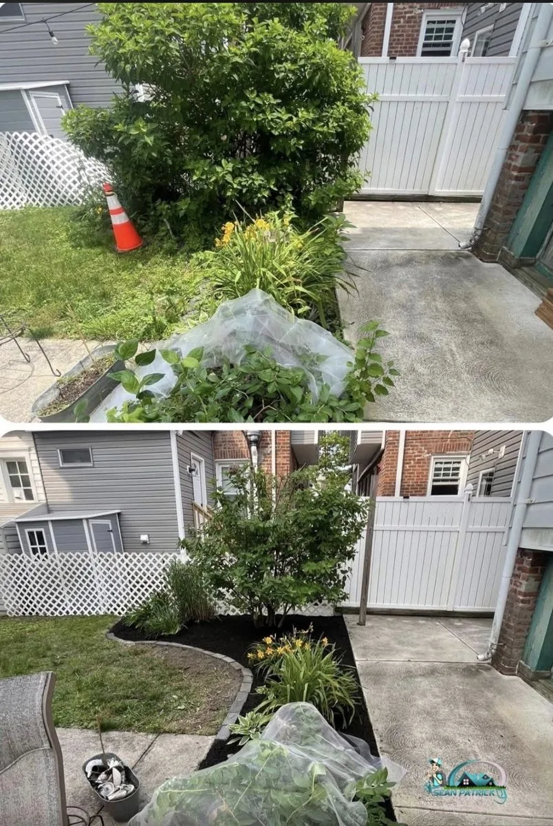 Shrub bed cleanup and landscaping before and after in Northfield NJ