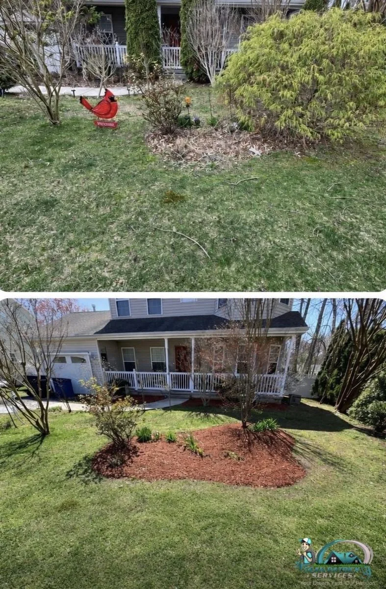 Spring yard cleanup and mulching before and after in Egg Harbor Township NJ