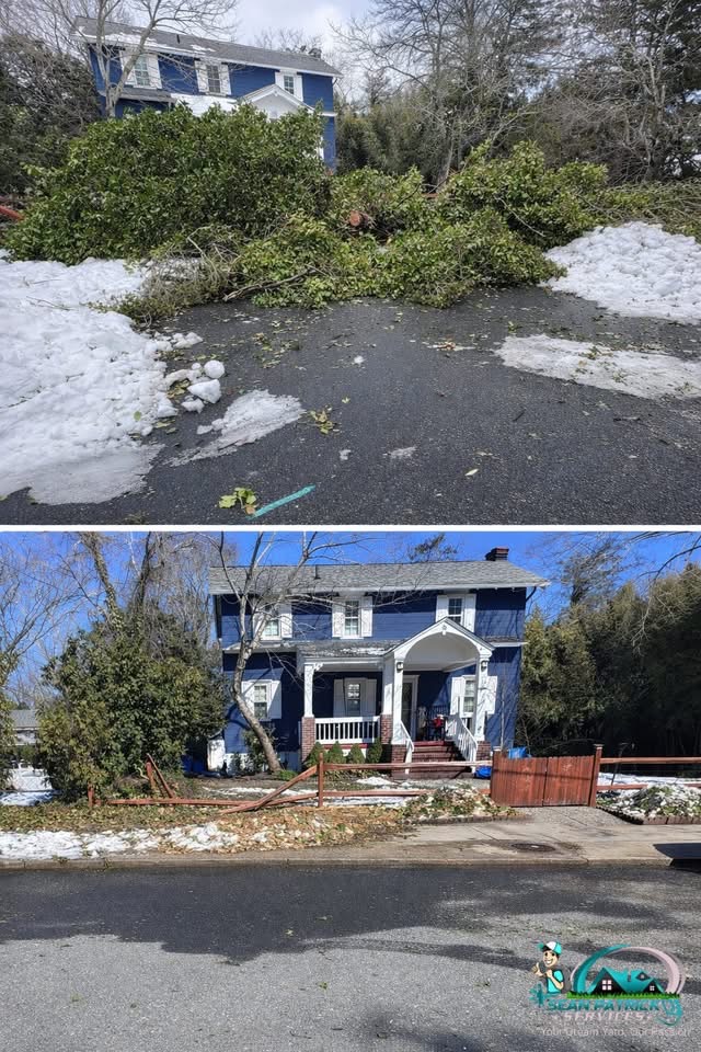 Storm damage tree removal before and after in Pleasantville NJ