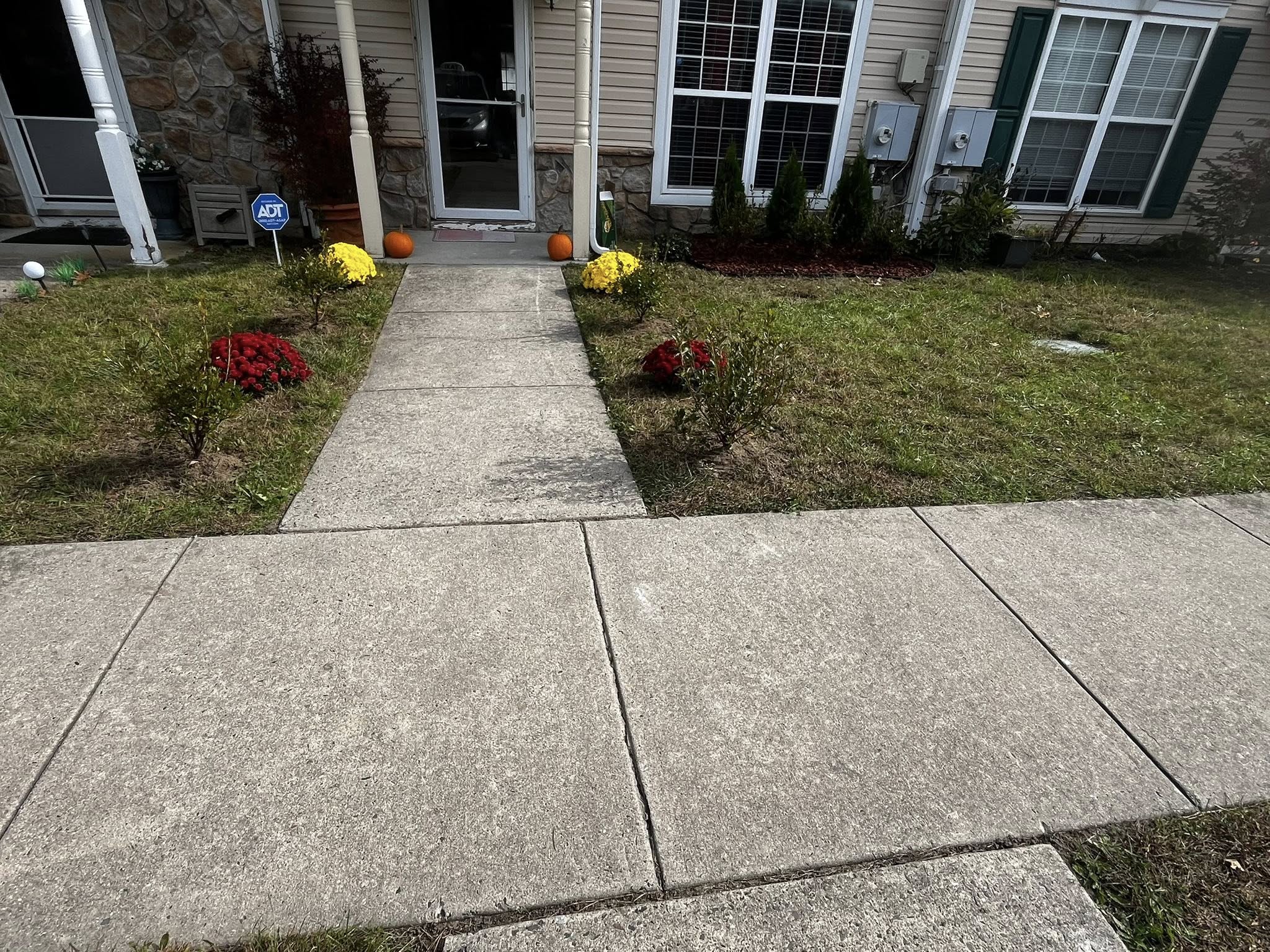 Front walkway flower planting