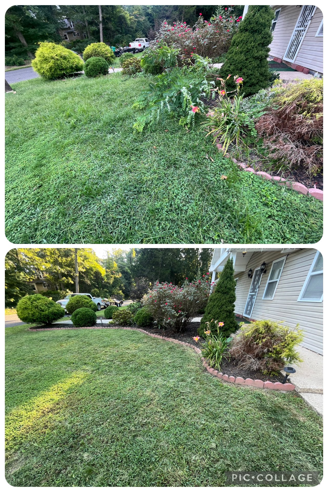 Professional lawn care