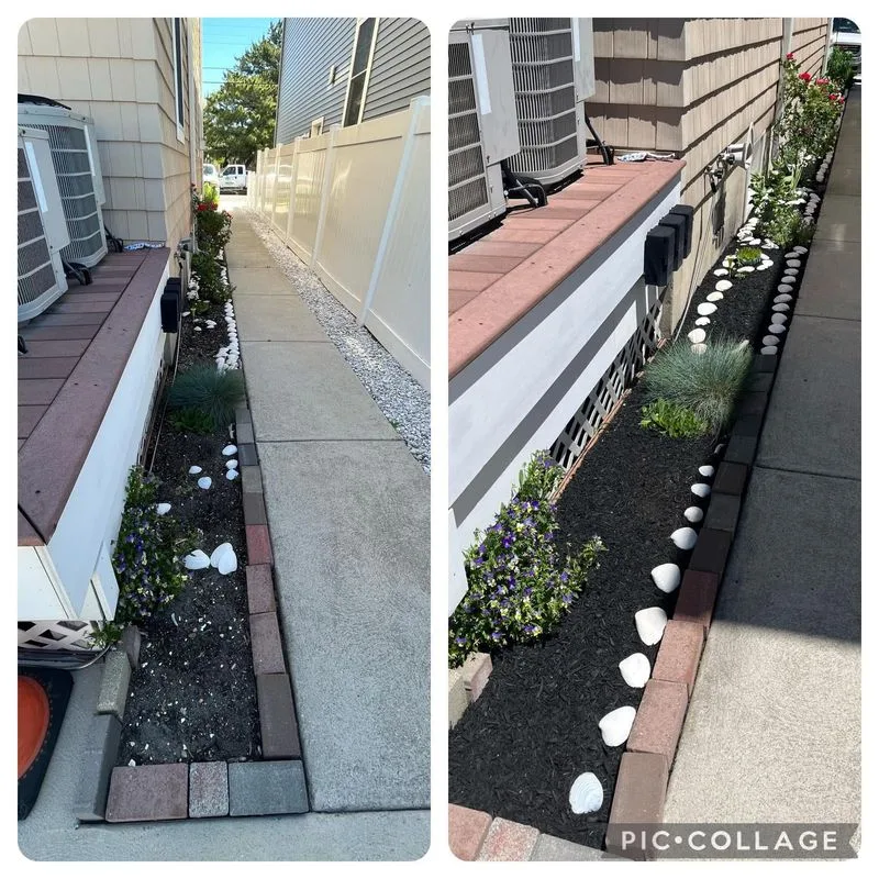Plant bed install before and after