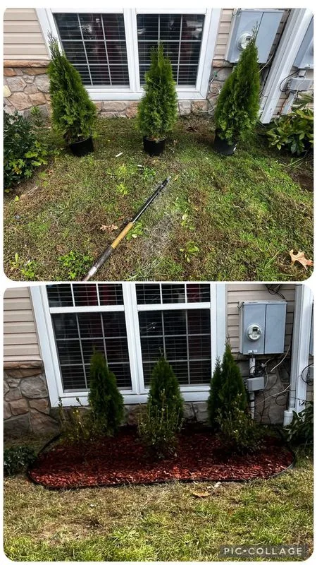 Professional plant installation