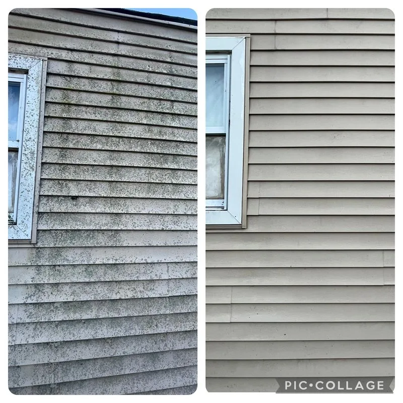 Soft washing vinyl siding