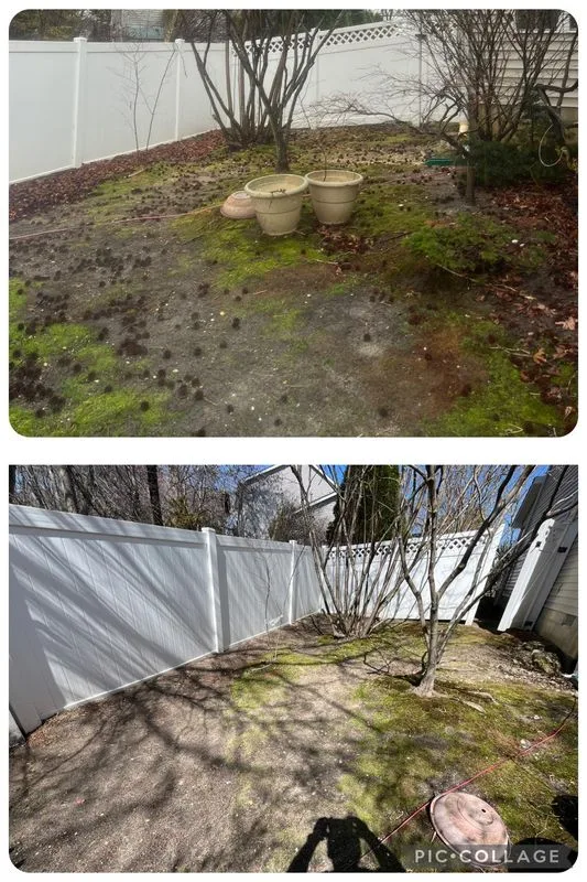 Yard cleanup before and after